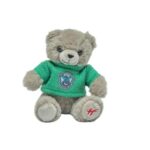 Slytherin Bear Keyring with Jumper