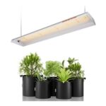 Spider Farmer SF-300 LED Grow Light, 2×2.5 Ft, Full Spectrum