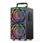 TENMIYA Portable Bluetooth Party Speaker 100W Bass