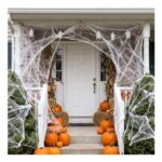 TOEKSIX 80g Halloween Spider Web with 30 Spiders