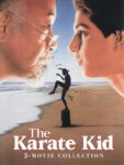 The Karate Kid 3-Movie Collection – 4K UHD – To Buy