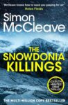 The Snowdonia Killings – Book 1 of Ruth Hunter Series – Kindle Edition