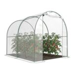 Walk-in Polytunnel Greenhouse
