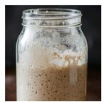 Wholemeal Sourdough Starter Live Culture, Easy to Use, Reusable