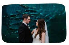 Zoo Wedding Fayre – Free Tickets 9th-10th October