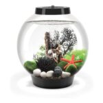 biOrb Classic 15 Acrylic Aquarium Black Multi-Colour Remote LED