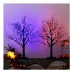 2-Pack Indoor Black Willow Branch Halloween Decor with Bi-Color LEDs