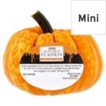 2 X Tesco Munchkin Pumpkin (2 for £1.00) – Clubcard Price