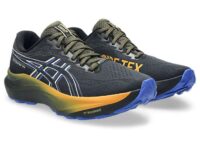 Asics GT-2000 14 GTX (Gore-Tex) Mens Trainers – Discount at Checkout