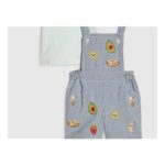 Baby Boys Blue Stripe Embroidery Dungaree Set