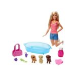 Barbie Doll & Accessories