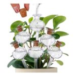 Beautywen 6Pcs Cactus Shape Glass Self-Watering Globes