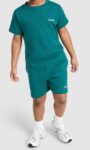 Berghaus Logo T-Shirt & Shorts Set Children – Ages 3-4 to 7-8 – Free C&C