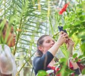Birmingham Botanical Gardens Family Pass – Valid Until 31/01/27
