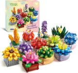 Botanicals Succulents, 12pcs Flowers Succulents Bonsai Set