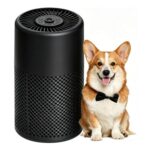 CHIVALZ HEPA Air Purifier for Bedroom, 24dB, Black