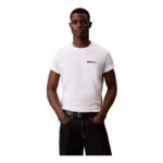 Calvin Klein Mens Graphic Tee, White, XXS