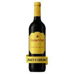 Campo Viejo Tempranillo Red Wine 75cl – ABV 13%