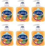 Carex ZOG Fiery Fresh Antibacterial Hand Wash, Clean & Protects Hands, Bulk Buy, Pack of 6 x 250ml