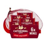 Cathedral City British Minis Mature Cheddar Cheese 6 X 20g