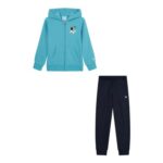 Champion Boys Hooded Fleece Sweater with Graphic Logo Light Blue