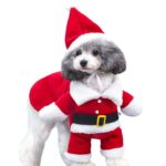 Christmas Pet Clothes, Cat Christmas Outfit Santa Claus Dog Hoodie Coat