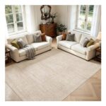 DMOYEST Vintage Area Rug Washable 200x300cm Beige