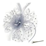 DRESHOW Fascinator Hat with Flower, Mesh, Feathers, Headband/Clip