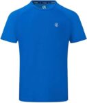 Dare2b Mens Accelerate Fitness T-Shirt (Arabian Spice, Burnt Orange, Oxford Blue)