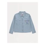 Disney Stitch Fruit Denim Jacket