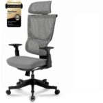 FLEXISPOT BS8 Ergonomic Mesh Office Chair, Adjustable Backrest & Armrests (with voucher) – Sold by FLEXISPOTUK / FBA