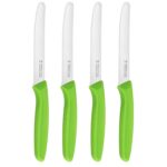 Fruit Cooking Knife 4, Rounded Tip, Serrated Stainless Steel, Green – Sold by BZ Trade / FBA