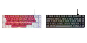 GAMIAC TKL69G SF 65% USB RGB Mechanical Gaming Keyboard ( Red or Blue Switches / USB-C / RGB ) w/code
