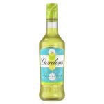 Gordons Spritz Edition Lime & Elderflower 14.7% Vol 50cl – Leeds