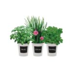 Grow Your Own Indoor Herb Kit