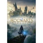 Hogwarts Legacy (PC / Steam)