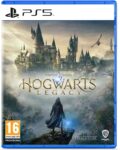 Hogwarts Legacy (PS5)