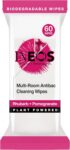 INEOS Antibac Multi-Room Biodegradable Wipes, Rhubarb Pomegranate, 60ct