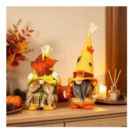 JYQOQH Set of 2 Autumn Gonk Decorations