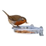 Jacobi Jayne I Love Robins TreatTray Window Bird Feeder