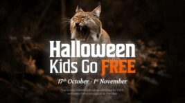 Kids Tickets for 1 With Paying Adult (Up to 2 Per Adult) – Kent Wildwood Trust