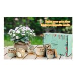 Kinforse Citronella Owl Boxed Candle Gift Sets- 6 X Candles