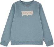 Levis Boys Batwing French Terry Pullover (Grey, 14 Years)