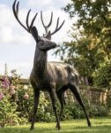 Life Size Ryder Deer Sculpture – Facing Left
