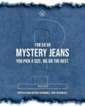 Mens DAC Mystery Jeans (Just pick a size)