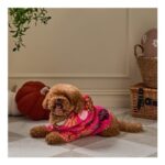 OHS Pumpkin Print Dog Hoodie Blanket – Pink