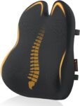 ProtoArc Lumbar Support Cushion – Memory Foam Back Support Cushion with Ergonomic Butterfly Design – Back Support for Office Chair, Car Seat, Double Adjustable Straps and Breathable Mesh Cover – Black