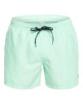 Quiksilver Mens Everyday Volley 15-Inch Swim Shorts, XS-XXL