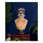 RAF Diligent Dog Bust