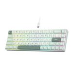 Royal Kludge C68 Hall Effect Mechanical Keyboard with Magnetic Switch
